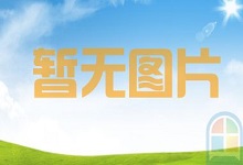 美国科技股逆势上涨:Twitter涨17.41% 特斯拉涨8.76%-站长资讯网