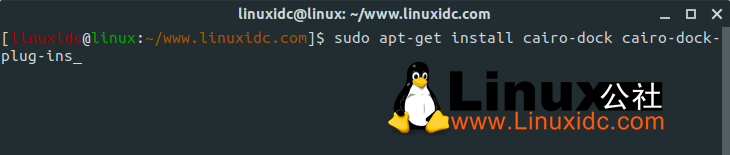 最受欢迎的5个Ubuntu Dock及其衍生产品