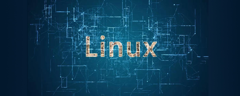 linux如何查看内存？