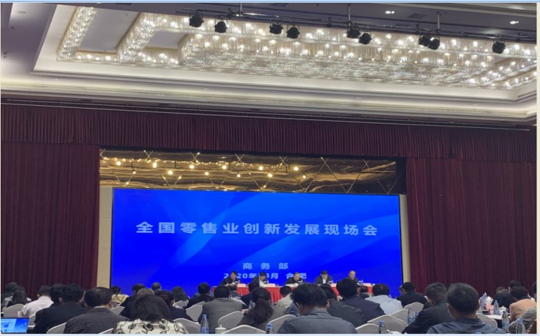 国美战略获政府肯定 成为引领行业发展新典范