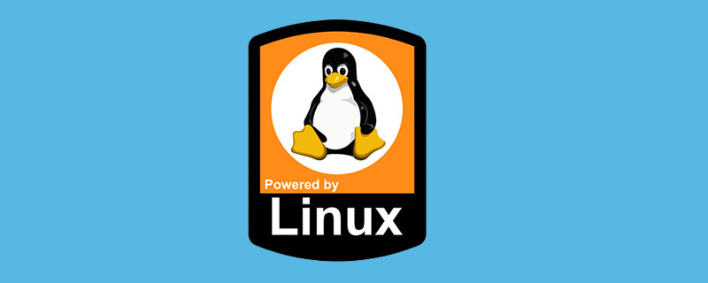 linux下的find命令如何使用