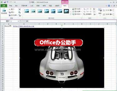 excel如何去除图片背景 Excel2010中去除图片背景的方法