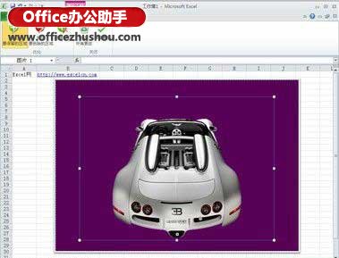 excel如何去除图片背景 Excel2010中去除图片背景的方法