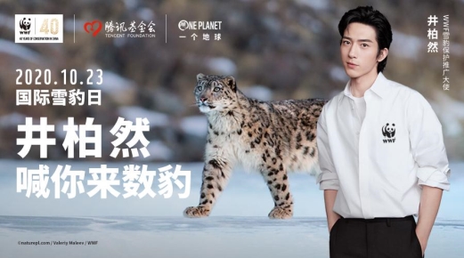 世界雪豹日,腾讯推“神秘雪豹在哪里”小程序,用AI助力雪豹保护