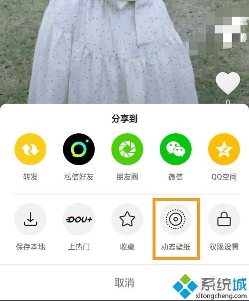 怎么将视频转成动态壁纸_视频转换动态壁纸的图文教程 怎么将视频转成动态壁纸 视频转换动态壁纸的图文教程