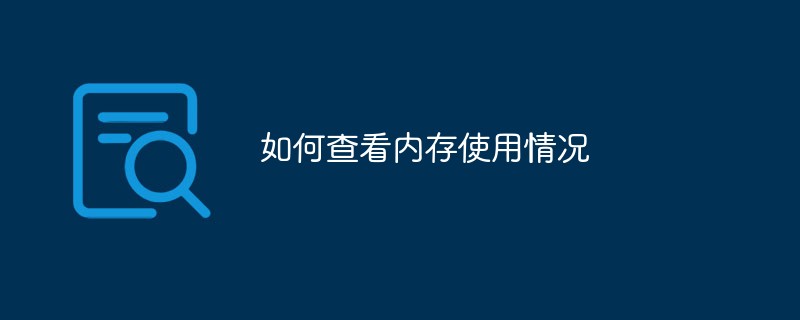 如何查看内存使用情况