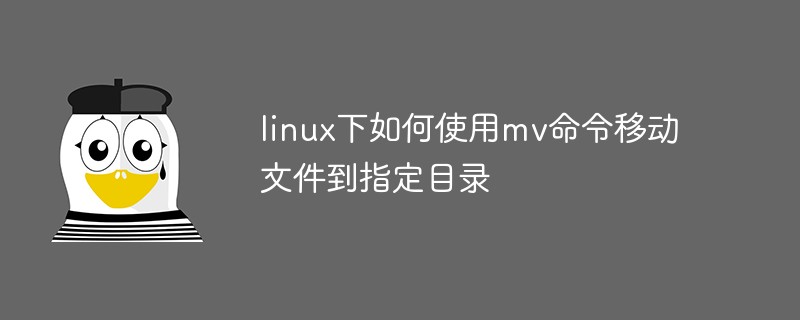 linux下如何使用mv命令移动文件到指定目录