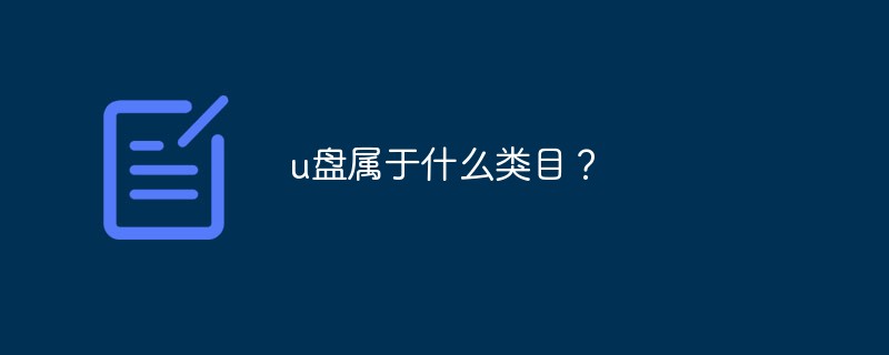 u盘属于什么类目？