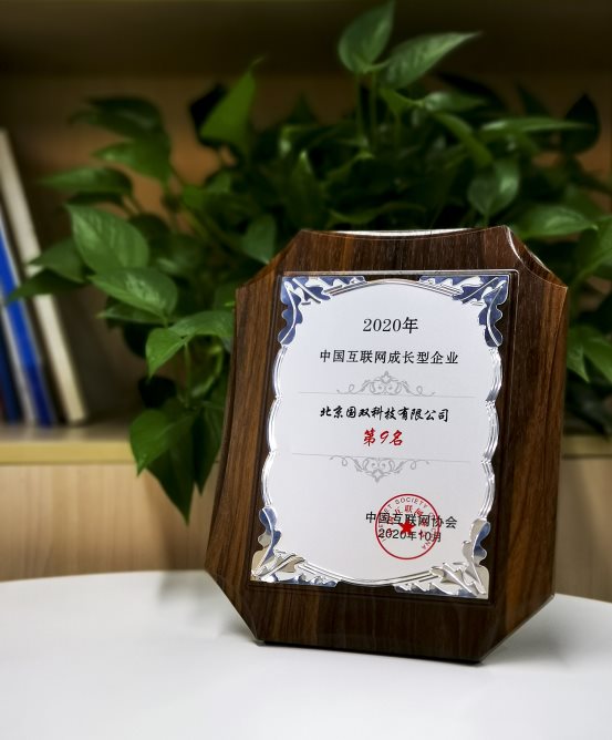 国双上榜2020年中国互联网成长型企业20强 背后产业格局悄然生变