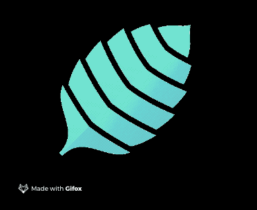 1546219654817756.gif canvas中普通动效与粒子动效的实现 方法介绍(代码示例)