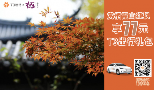 打T3出行到南京栖霞山 赏万山红遍的枫叶美景