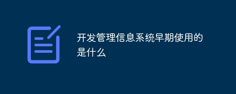 开发管理信息系统早期使用的是什么