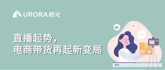 极光：2020双十一电商行业研究报告
