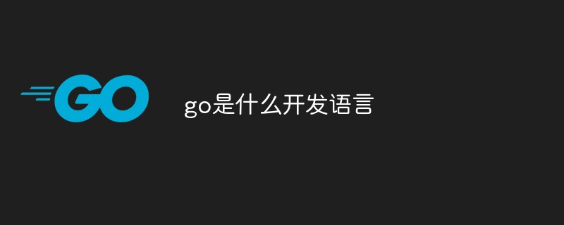 go是什么开发语言
