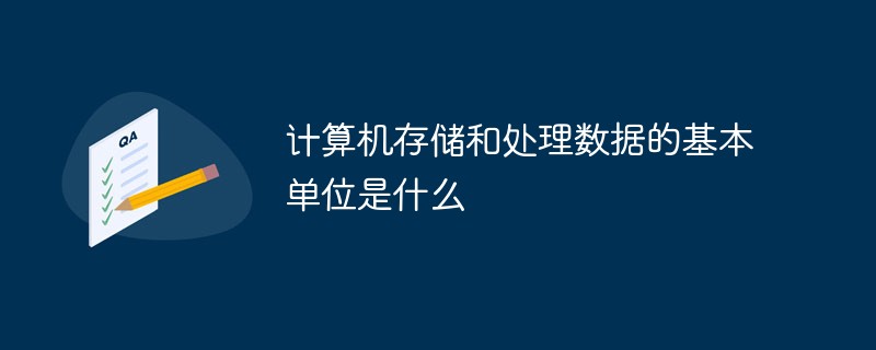 计算机存储和处理数据的基本单位是什么