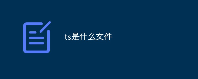 ts是什么文件