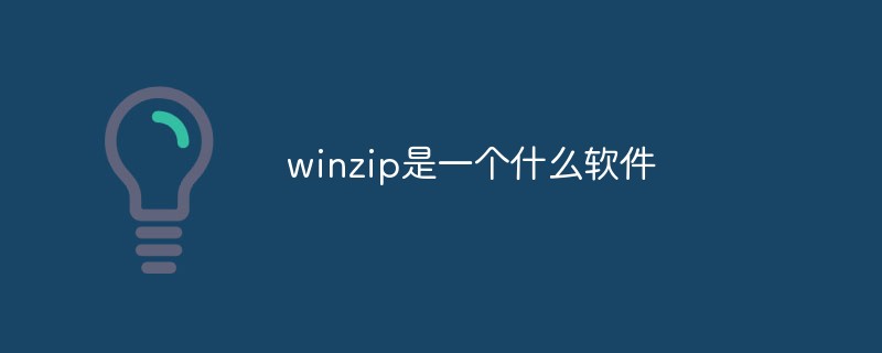 winzip是一个什么软件