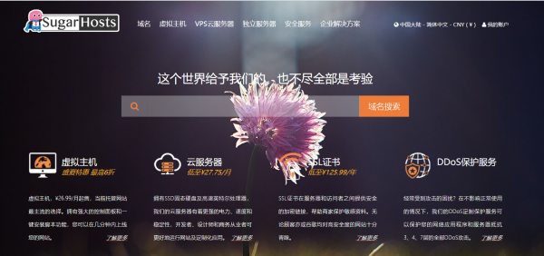 性价比爆棚的美国虚拟主机居然是它?