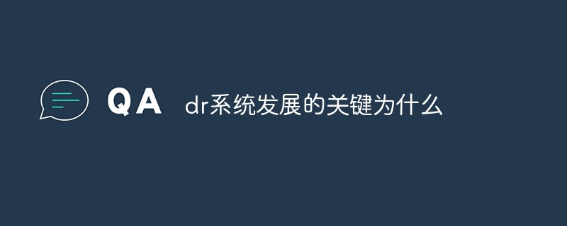 dr系统发展的关键为什么