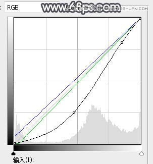 ps给森林照片添加唯美逆光效果