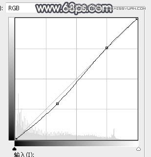 ps给森林照片添加唯美逆光效果