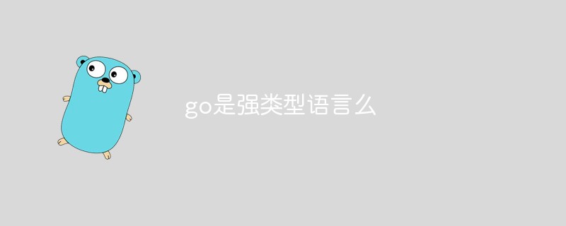 go是强类型语言么