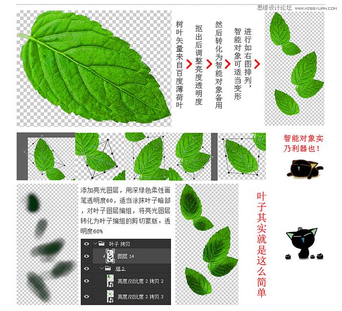 用PS详细修复清扬洗发水瓶产品效果图