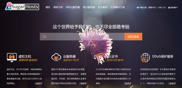 美国虚拟主机到底如何？来听A哥跟你聊