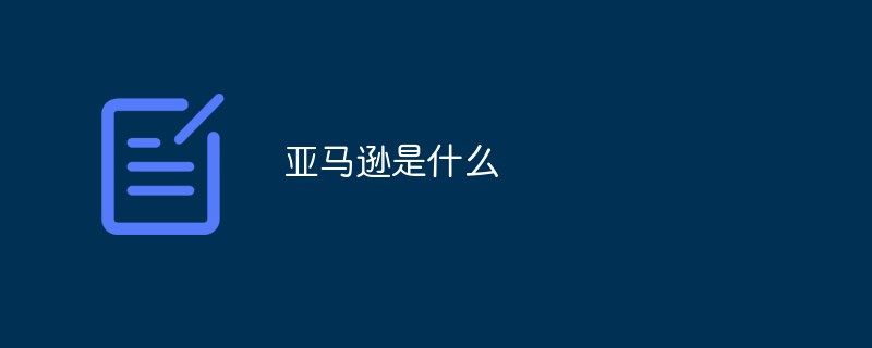 亚马逊是什么
