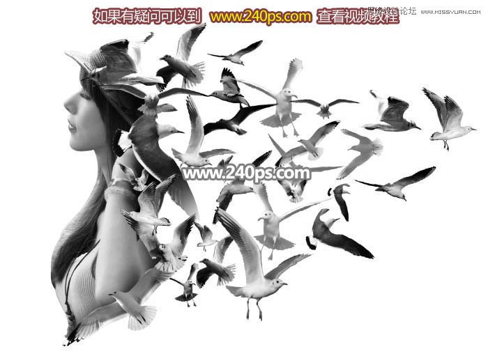 PS制作美女人像被鸟群打散特效