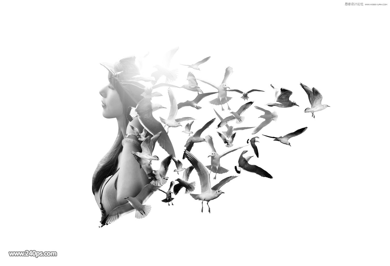 PS制作美女人像被鸟群打散特效