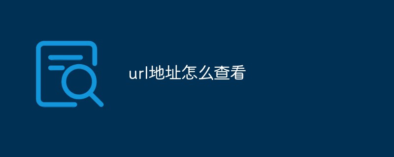 url地址怎么查看