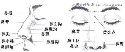 用PS鼠绘唯美的金发女模特教程