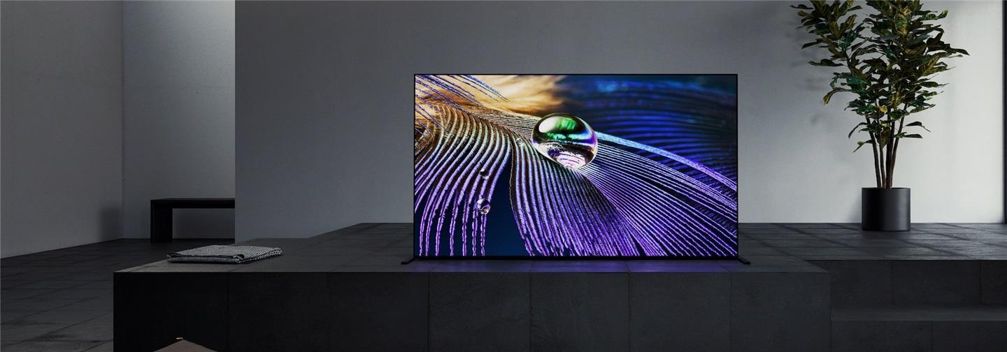 索尼旗舰 4K OLED 电视 A90J 售价公布，海外售价近两万元起步