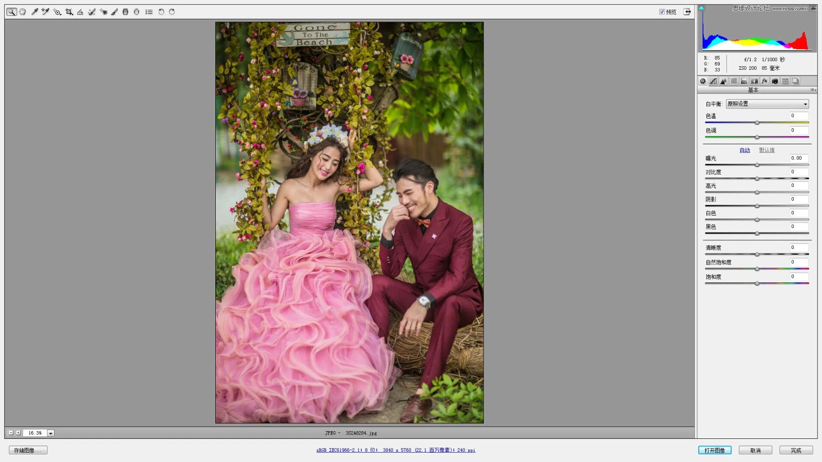 PS调出外景婚纱照片质感肤色效果