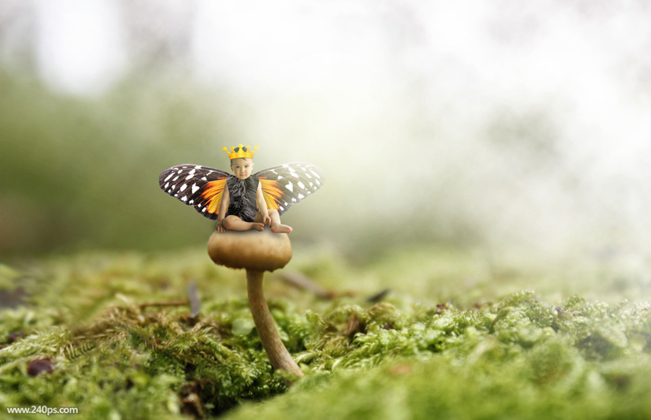 用PS合成坐在蘑菇上的可爱小天使场景