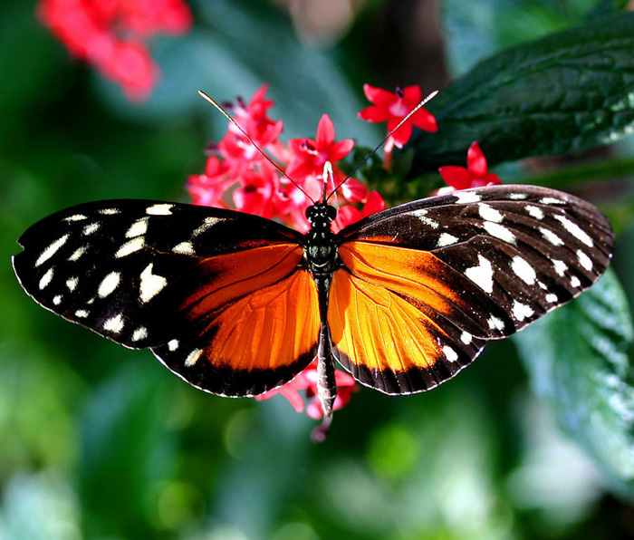 用PS合成坐在蘑菇上的可爱小天使场景