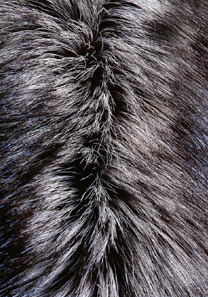 用PS合成坐在蘑菇上的可爱小天使场景