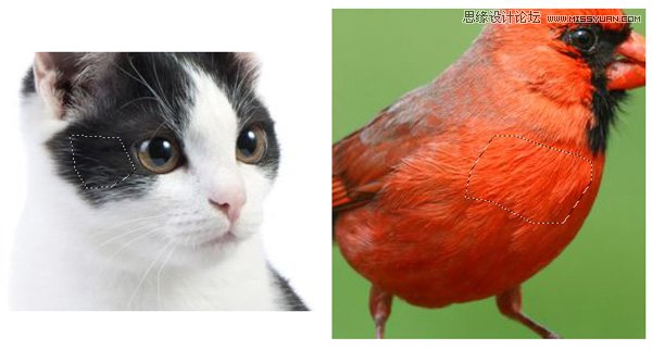 用PS绘制可爱的愤怒的小鸟