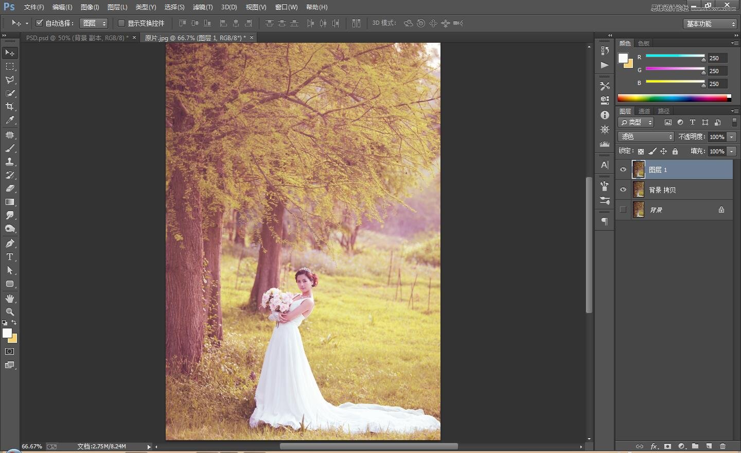 PS调出外景婚片古典唯美效果图