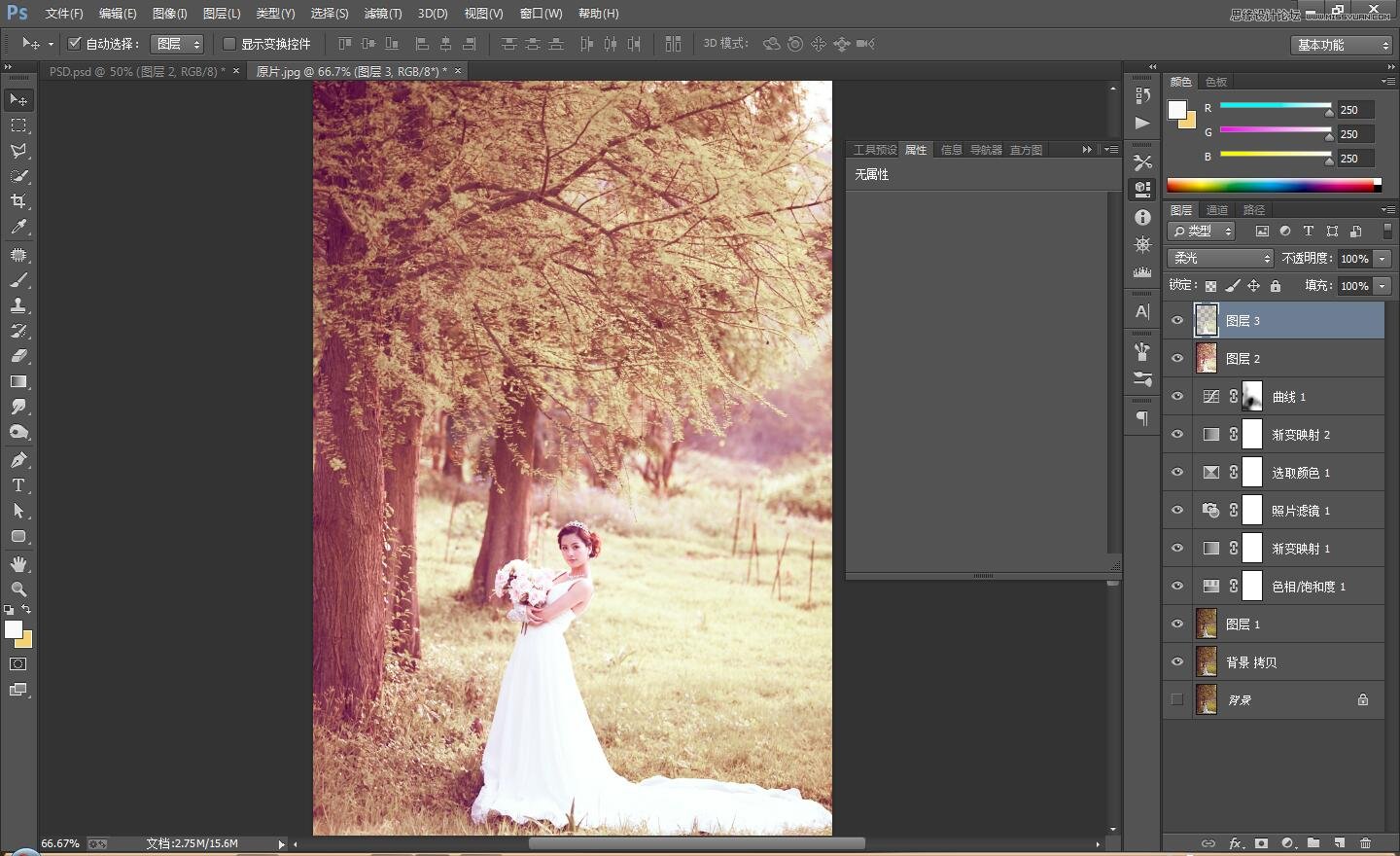 PS调出外景婚片古典唯美效果图