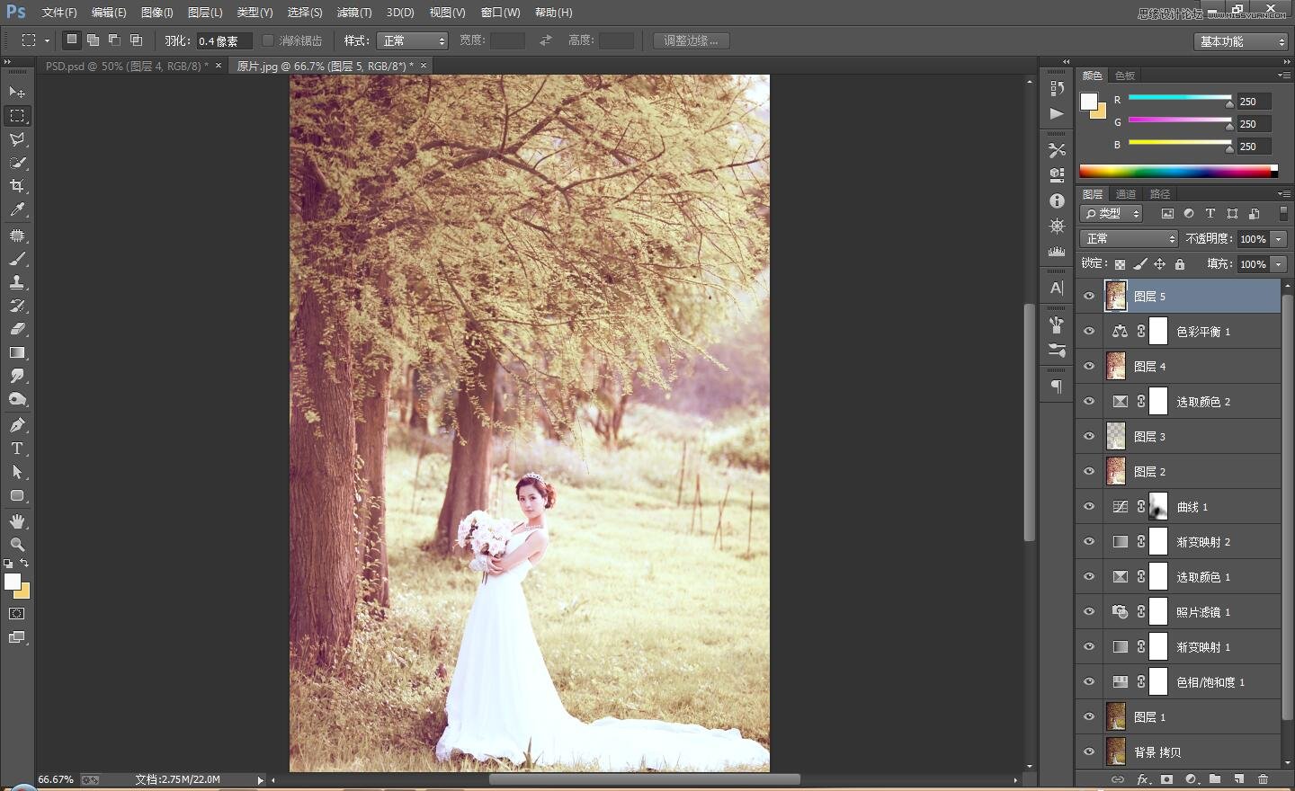 PS调出外景婚片古典唯美效果图