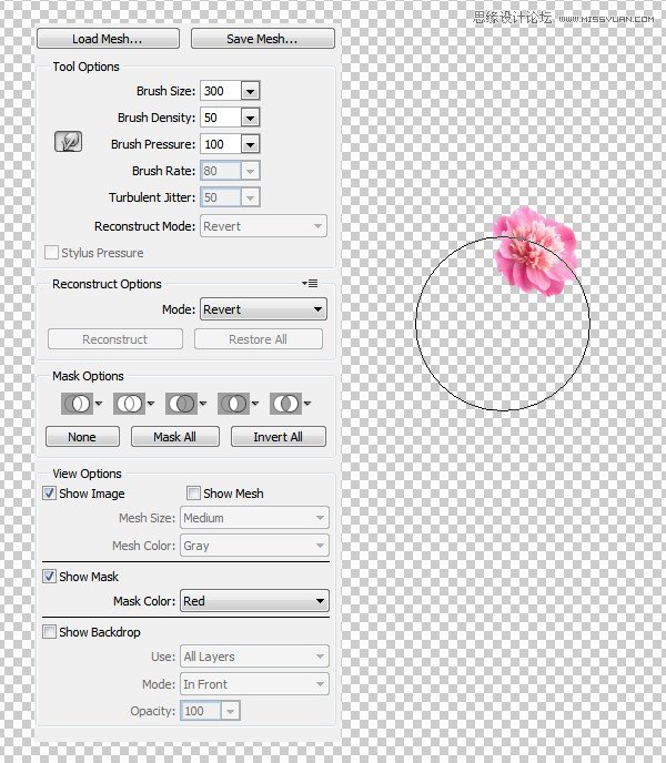 ps合成创意的花朵人像效果图