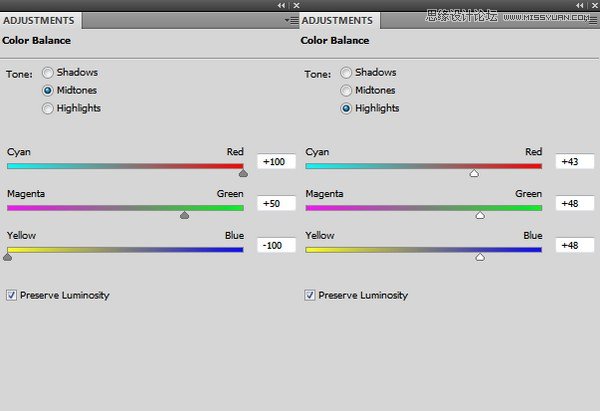 ps合成创意的花朵人像效果图
