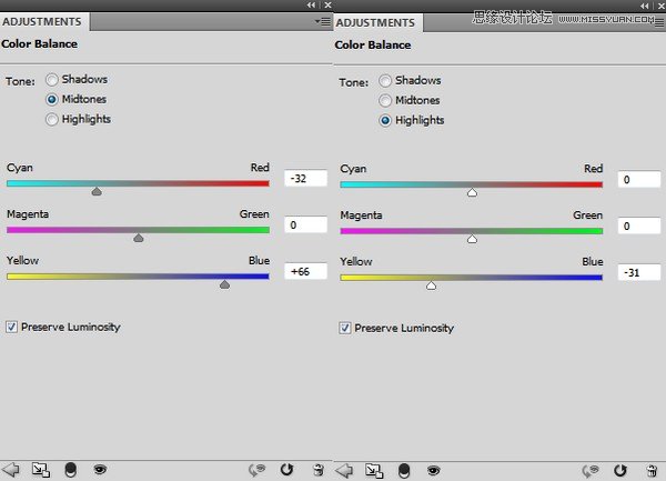 ps合成创意的花朵人像效果图