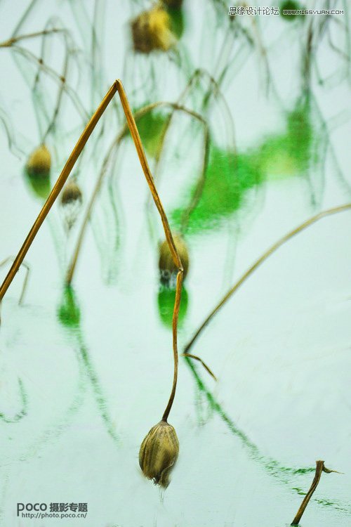 PS设计中国风意境的水墨画效果图