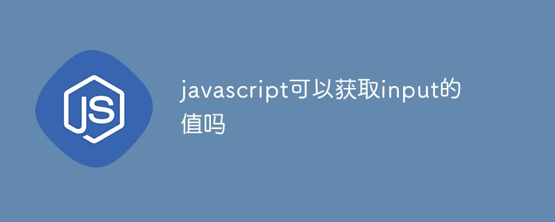 javascript可以获取input的值吗