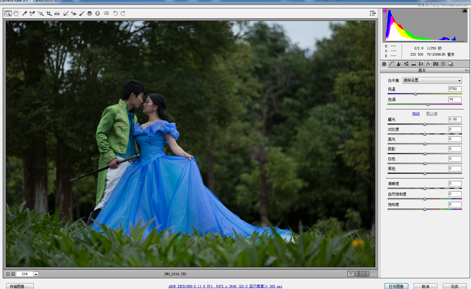 ps调出外景婚片春季清新效果