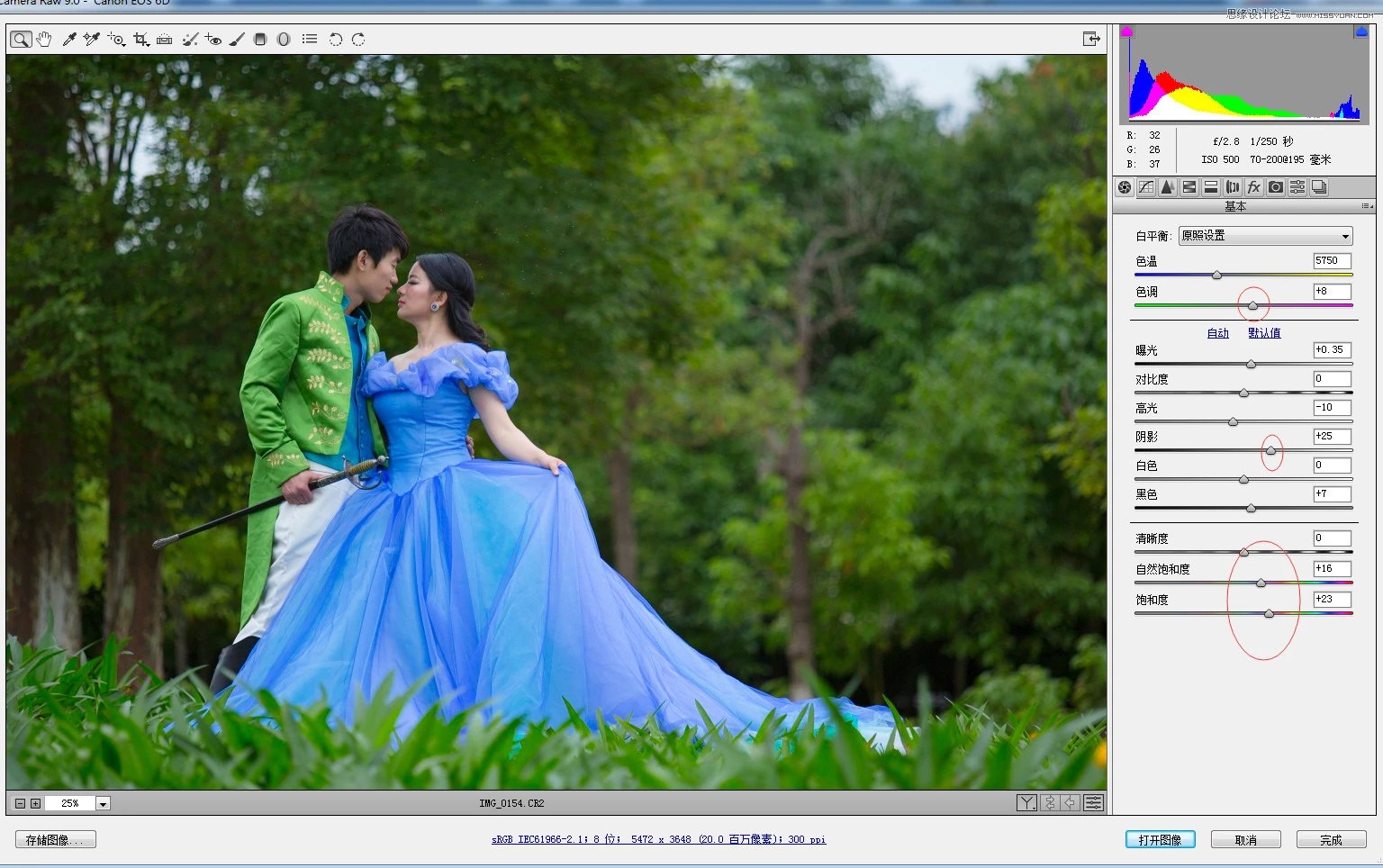 ps调出外景婚片春季清新效果