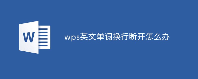 wps英文单词换行断开怎么办-站长资讯网